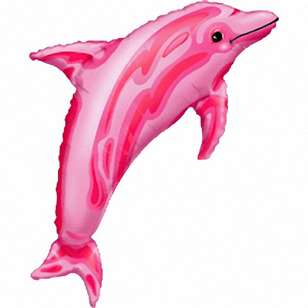 Anagram 37''x22'' Dolphin Pink Anagram