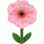 Anagram 18x28 inch Happy Birthday Pink Daisy
