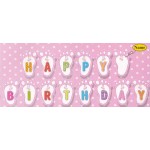 Mytex Happy Birthday Baby Feet Pink Banner